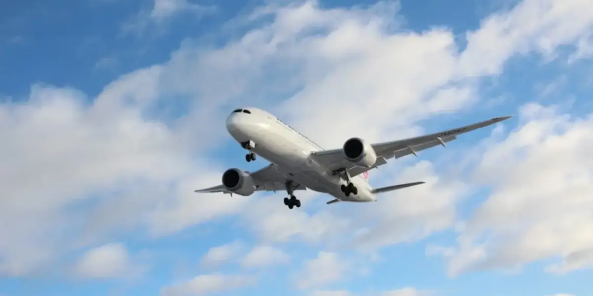 Is Japan Airlines Good? [2025 Guide]