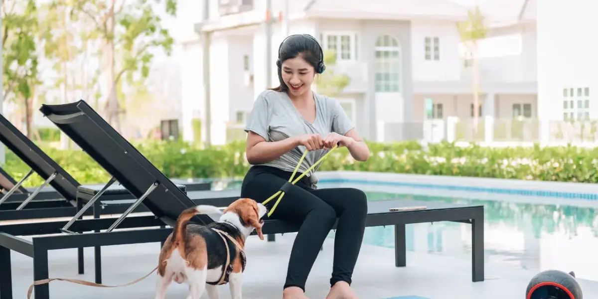 5 Best Pet-Friendly Hotels in Flagstaff, Arizona