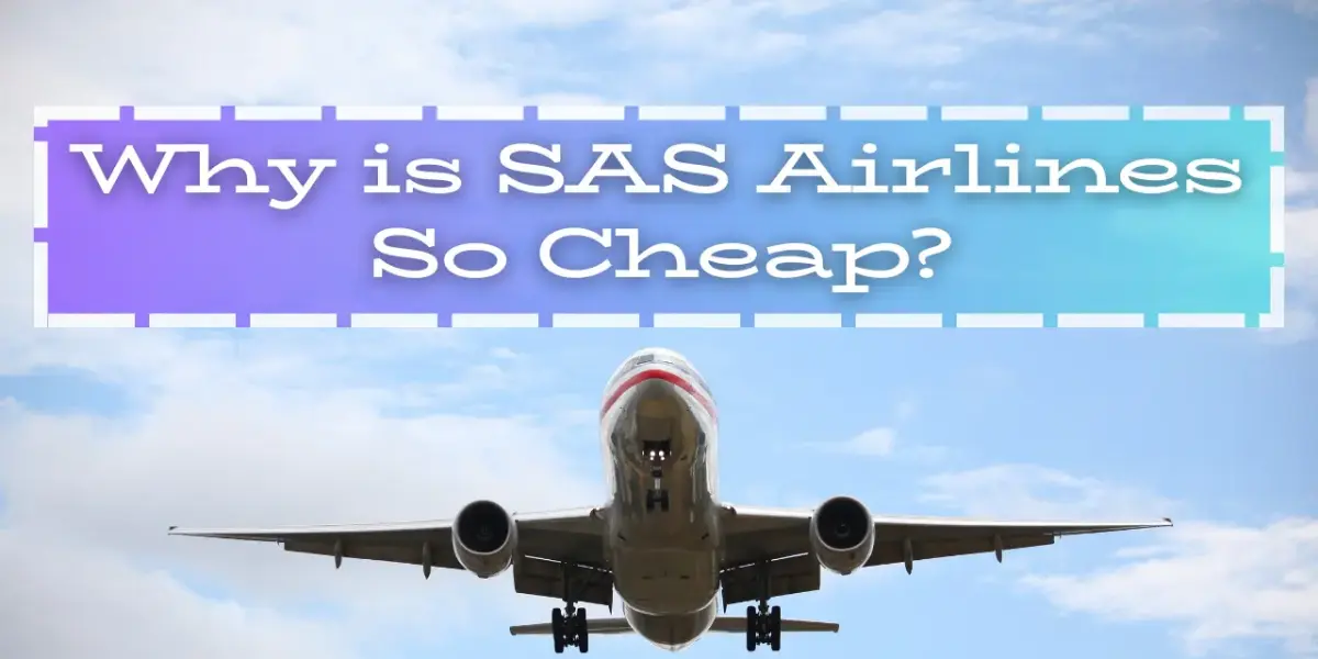 Why is SAS Airlines So Cheap? [Complete Breakdown]