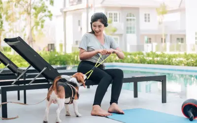 5 Best Pet-Friendly Hotels in Flagstaff, Arizona